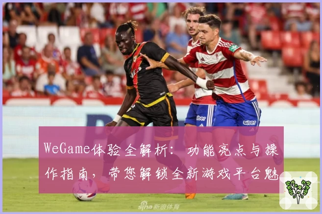 WeGame体验全解析:功能亮点与操作指南,带您解锁全新游戏平台魅力