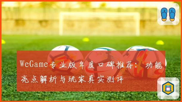WeGame专业版年度口碑推荐：功能亮点解析与玩家真实测评