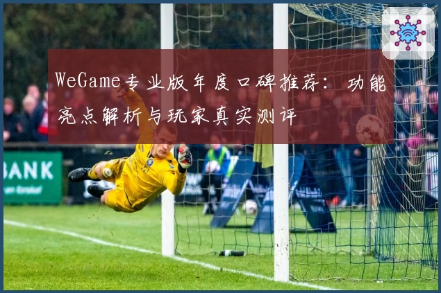 WeGame专业版年度口碑推荐：功能亮点解析与玩家真实测评